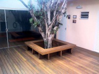 /album/galeria-de-fotos-pagina-inicial1/a11760255-575845249221583-2486480797299912520-n-jpg/